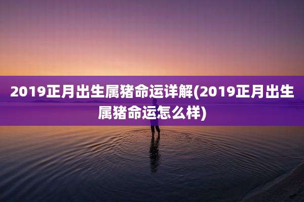 2019正月出生属猪命运详解(2019正月出生属猪命运怎么样)