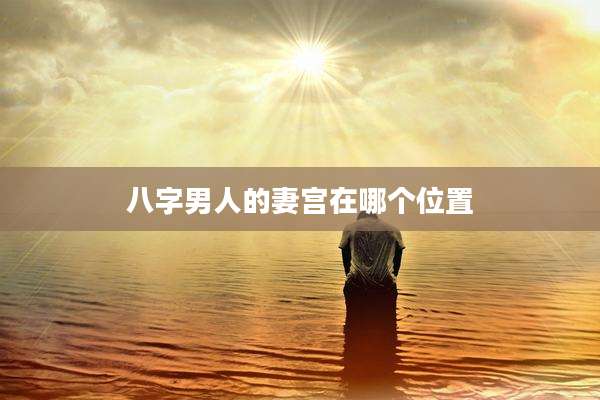 八字男人的妻宫在哪个位置