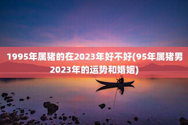 1995年属猪的在2023年好不好(95年属猪男2023年的运势和婚姻)
