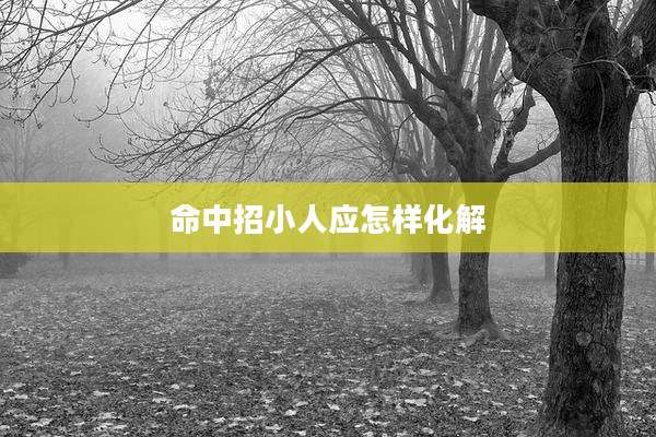 命中招小人应怎样化解