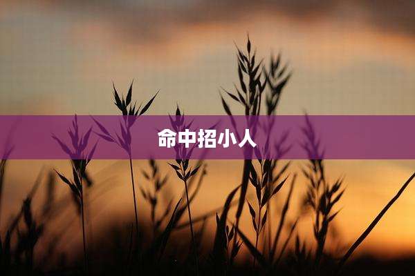命中招小人