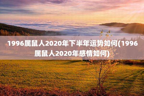 1996属鼠人2020年下半年运势如何(1996属鼠人2020年感情如何)