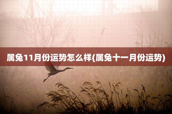 属兔11月份运势怎么样(属兔十一月份运势)