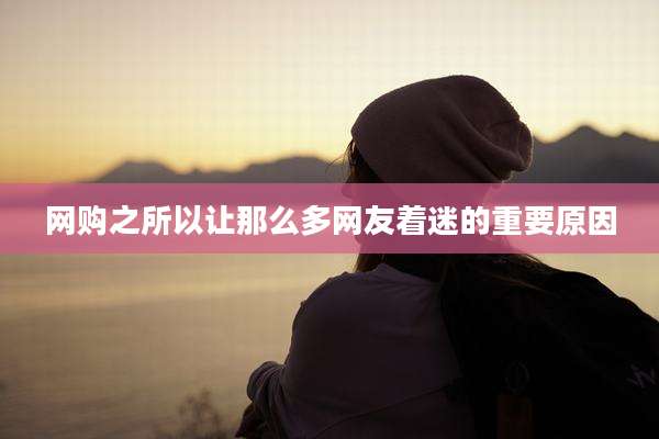 网购之所以让那么多网友着迷的重要原因