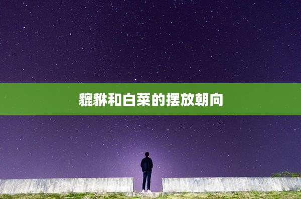 貔貅和白菜的摆放朝向