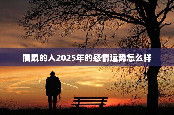属鼠的人2025年的感情运势怎么样