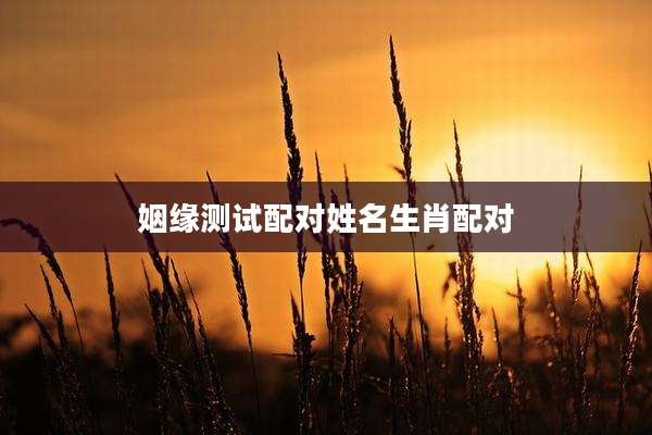 姻缘测试配对姓名生肖配对