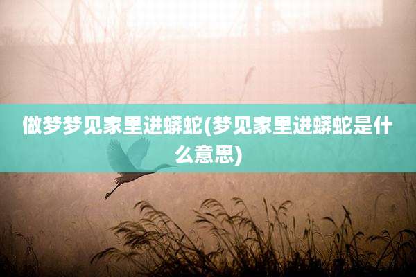做梦梦见家里进蟒蛇(梦见家里进蟒蛇是什么意思)
