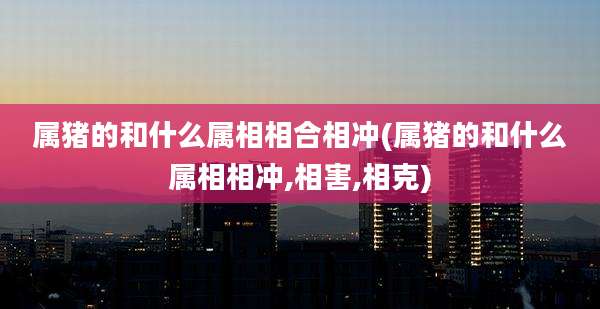 属猪的和什么属相相合相冲(属猪的和什么属相相冲,相害,相克)