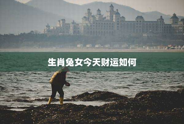 生肖兔女今天财运如何