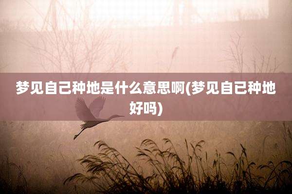 梦见自己种地是什么意思啊(梦见自已种地好吗)