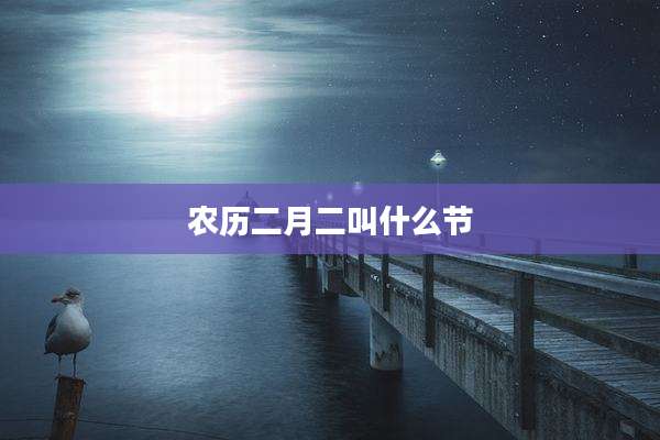 农历二月二叫什么节
