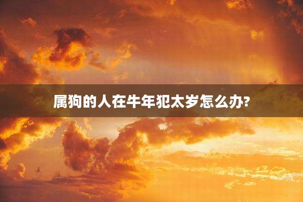 属狗的人在牛年犯太岁怎么办?