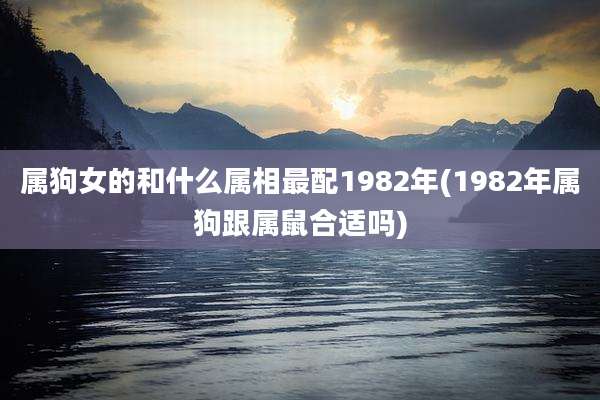 属狗女的和什么属相最配1982年(1982年属狗跟属鼠合适吗)
