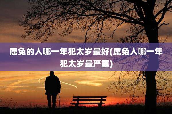 属兔的人哪一年犯太岁最好(属兔人哪一年犯太岁最严重)
