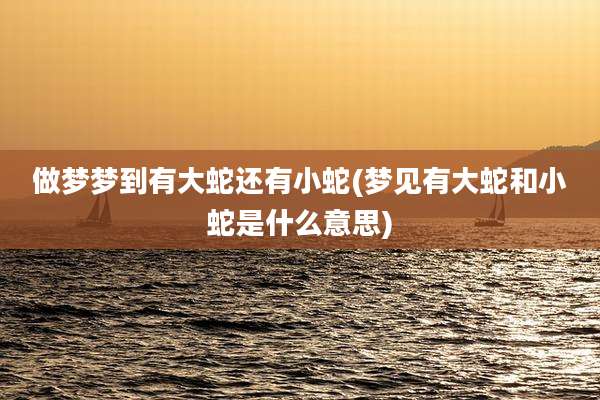 做梦梦到有大蛇还有小蛇(梦见有大蛇和小蛇是什么意思)