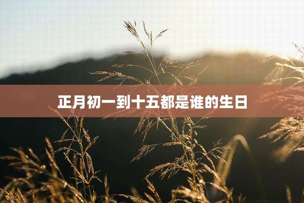 正月初一到十五都是谁的生日