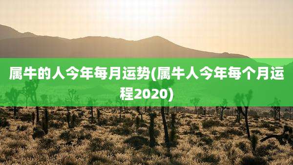 属牛的人今年每月运势(属牛人今年每个月运程2020)