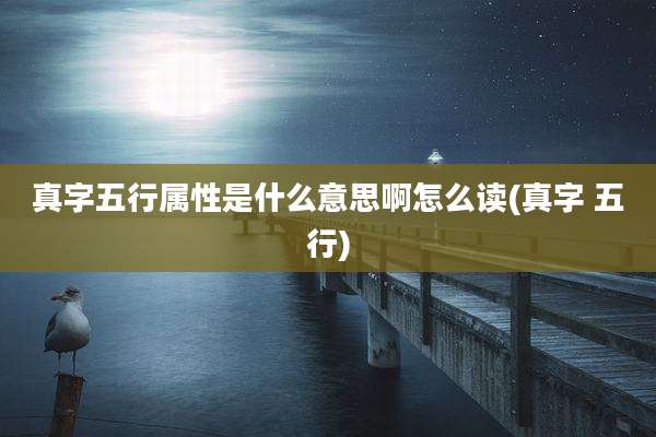 真字五行属性是什么意思啊怎么读(真字 五行)