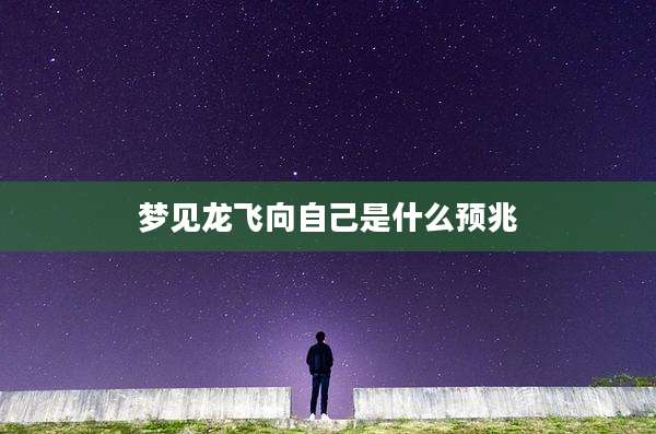 梦见龙飞向自己是什么预兆
