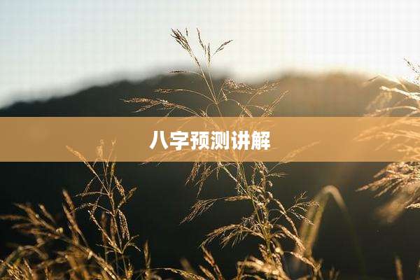八字预测讲解