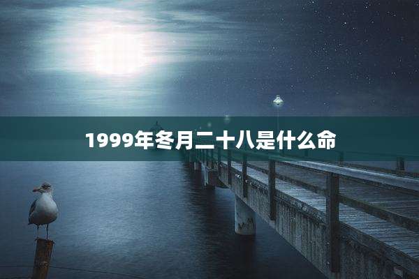 1999年冬月二十八是什么命