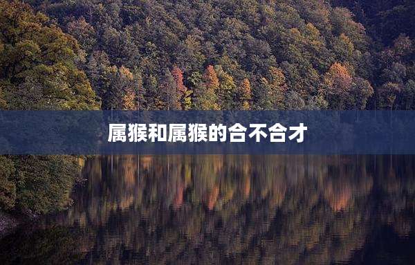 属猴和属猴的合不合才