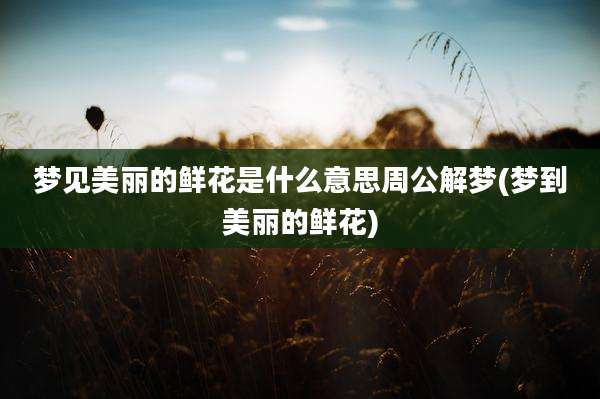 梦见美丽的鲜花是什么意思周公解梦(梦到美丽的鲜花)