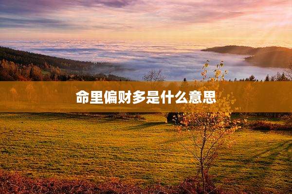 命里偏财多是什么意思