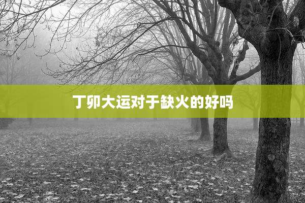 丁卯大运对于缺火的好吗