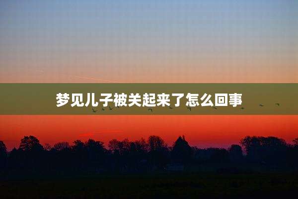 梦见儿子被关起来了怎么回事