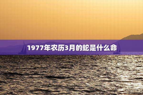 1977年农历3月的蛇是什么命