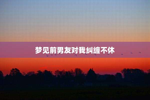 梦见前男友对我纠缠不休