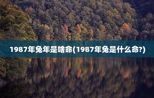 1987年兔年是啥命(1987年兔是什么命?)