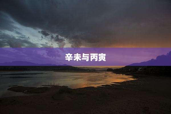辛未与丙寅