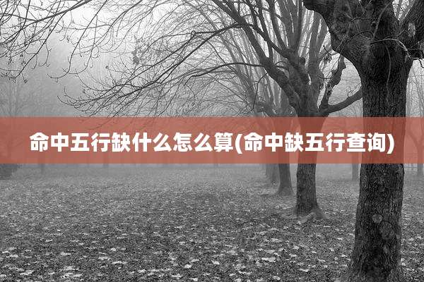 命中五行缺什么怎么算(命中缺五行查询)