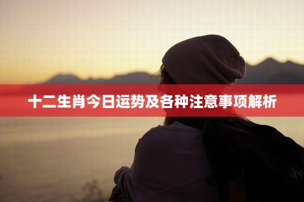 十二生肖今日运势及各种注意事项解析