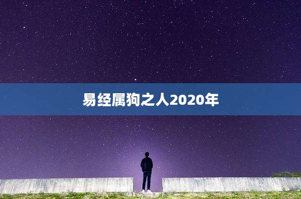 易经属狗之人2020年
