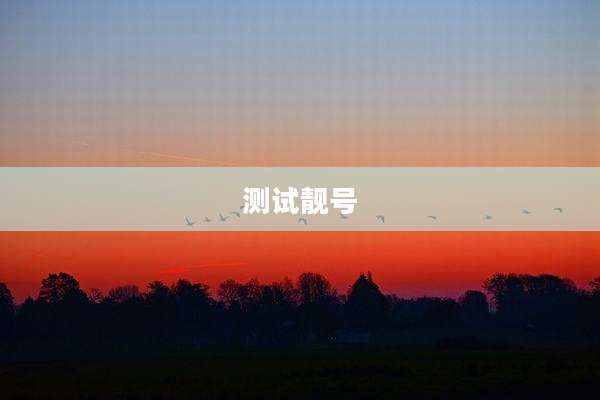 测试靓号