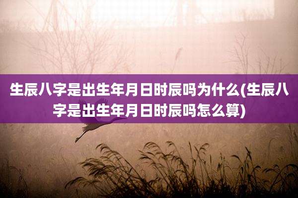 生辰八字是出生年月日时辰吗为什么(生辰八字是出生年月日时辰吗怎么算)