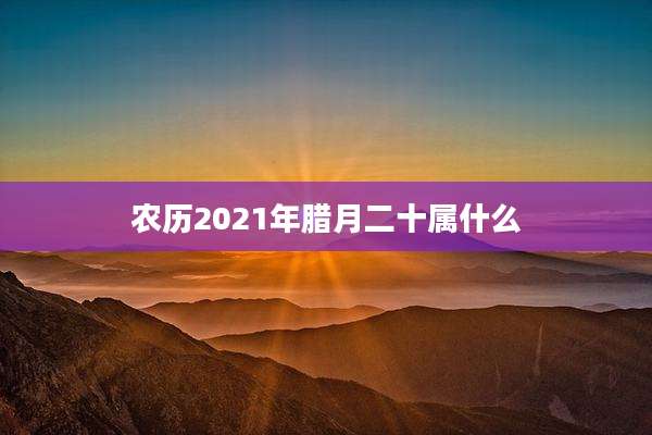 农历2021年腊月二十属什么