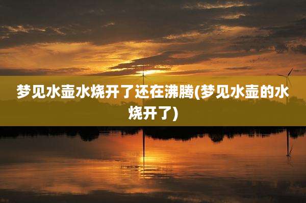 梦见水壶水烧开了还在沸腾(梦见水壶的水烧开了)