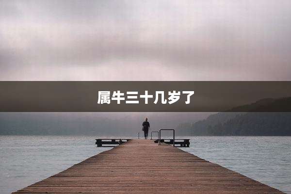 属牛三十几岁了
