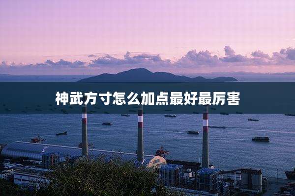 神武方寸怎么加点最好最厉害