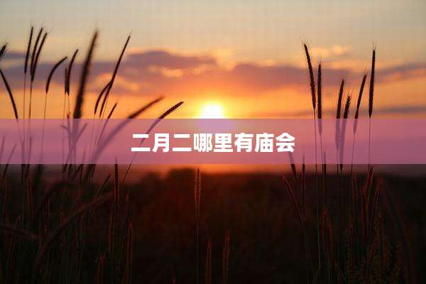 二月二哪里有庙会