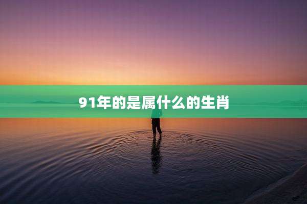 91年的是属什么的生肖