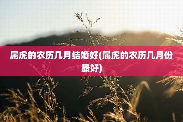 属虎的农历几月结婚好(属虎的农历几月份最好)