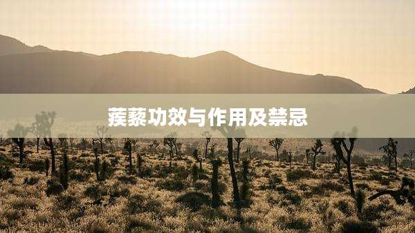 蒺藜功效与作用及禁忌
