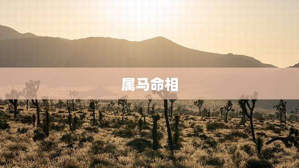属马命相