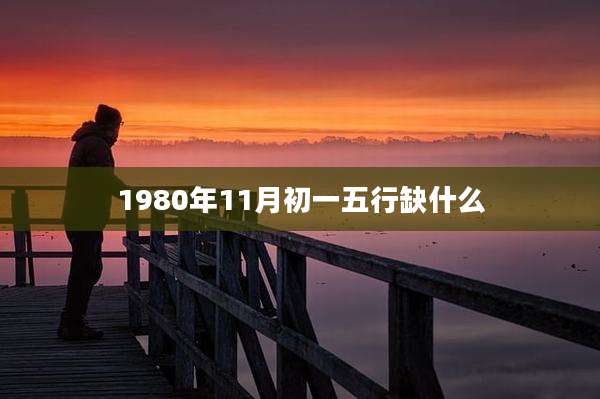 1980年11月初一五行缺什么